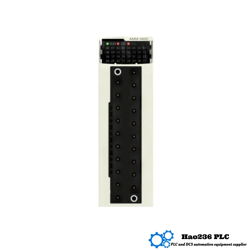 Schneider BMXAMM0600 Hybrid Analog I/O Module Modicon X80 Series