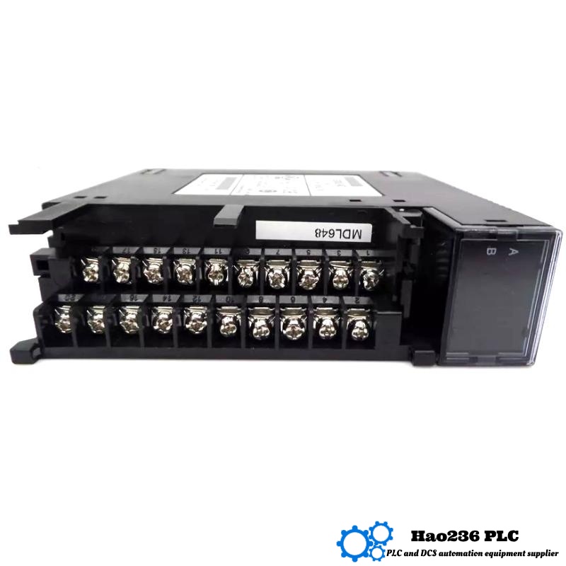 GE IC693MDL648 Positive/Negative Logic Input Module