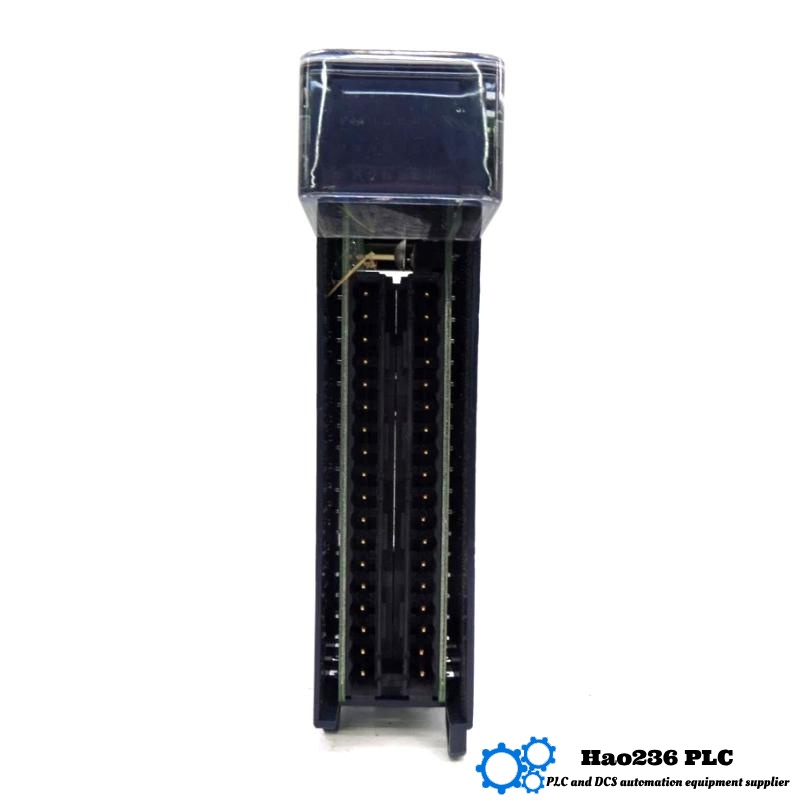 GE IC694MDL660 RX3i Input Module