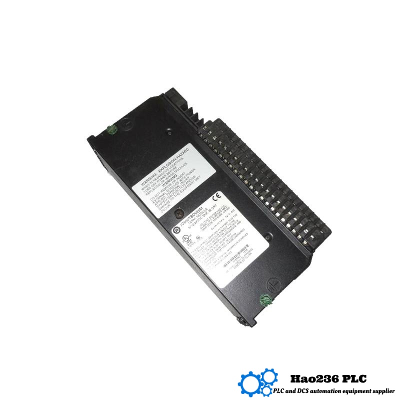 GE IC660BRD020 Discrete Source I/O Block
