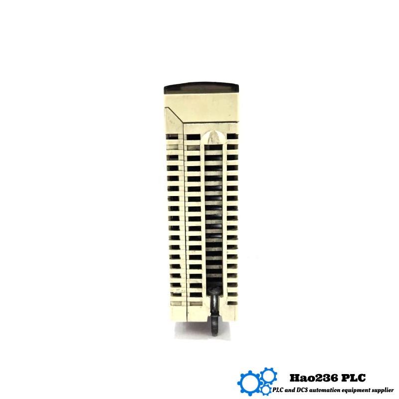 Schneider TSXETY4102 Ethernet 10/100 TCP/IP Module