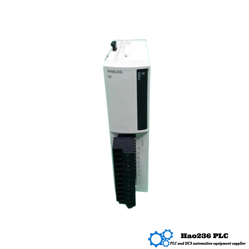 Schneider TM2AMI2LT Analog Input Module Modicon M238 Series