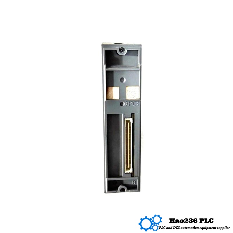 Yokogawa AAI143 Analog Input Module