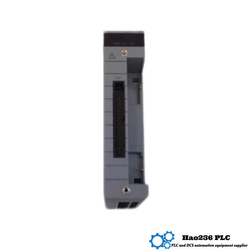 Yokogawa AAI143-S53/A4S00 Analog Input Module