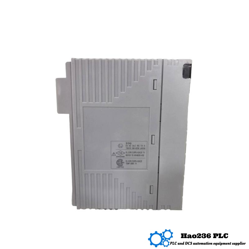 Yokogawa AAI543-H00/A4S10 Analog Output Module