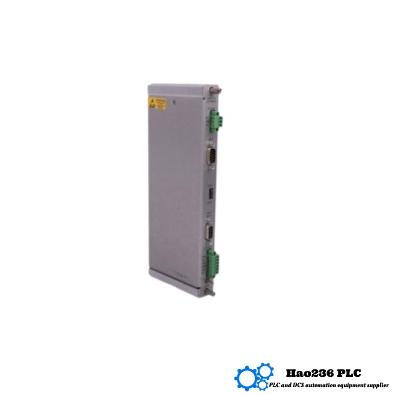 Bently Nevada 3500/20 125744-02+125768-01 RIM I/O Module System Rack Interface Module