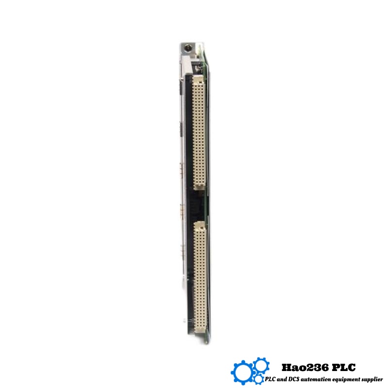 Bently Nevada 3500/60 133811-01+133819-01 Temperature Monitor I/O Module