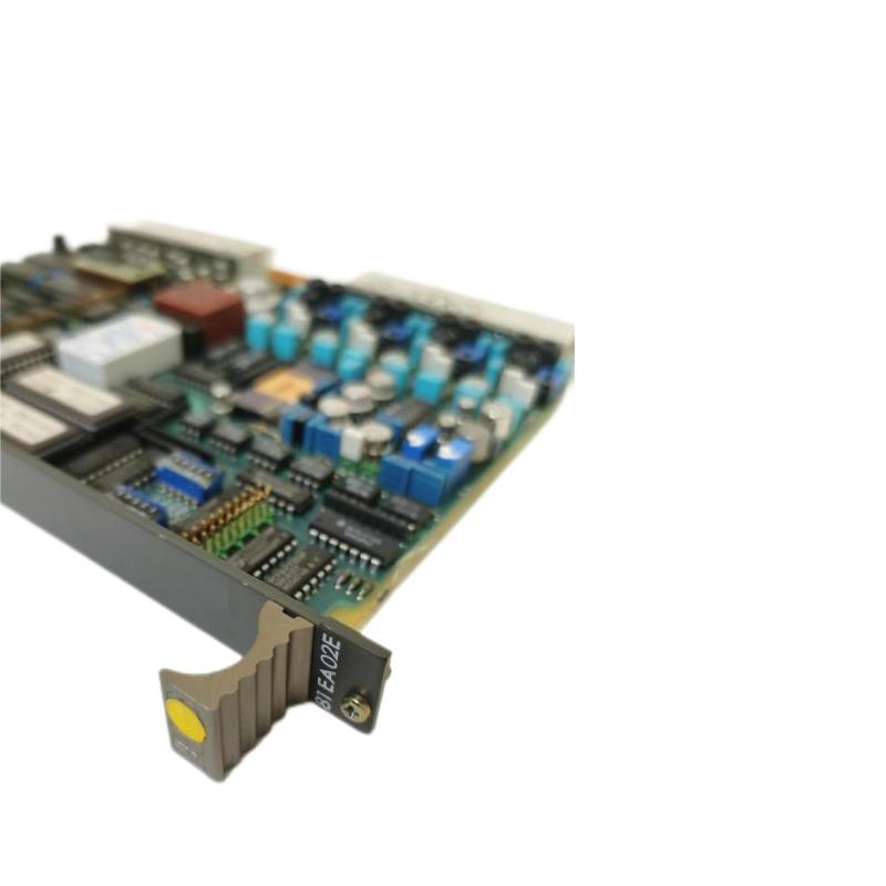 ABB 81EA02E GJR2366000R1000 Analog Input Module