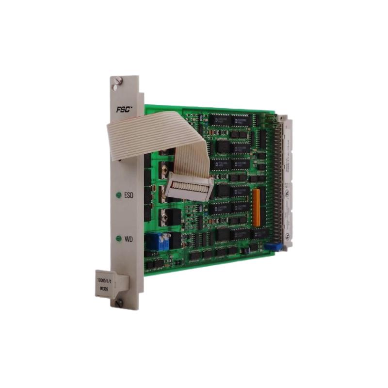 Honeywell 10005/1/1 Watchdog Module