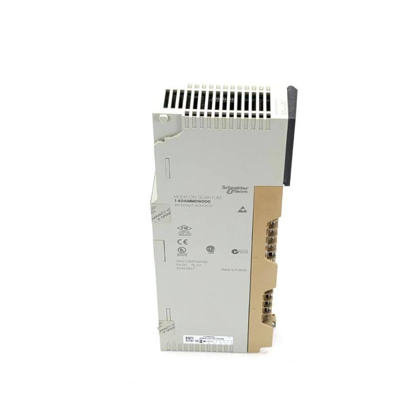 Schneider Electric 140AMM09000C Analog Input Output Module Modicon Quantum