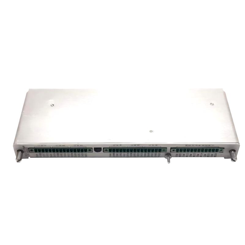 Bently Nevada 3500/61 163179-02+133819-02 Temperature Monitor + I/O Module