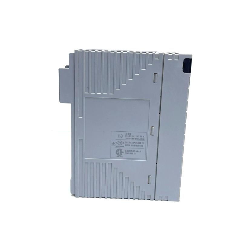 Yokogawa AAI143-H00 S2 Analog Input Module