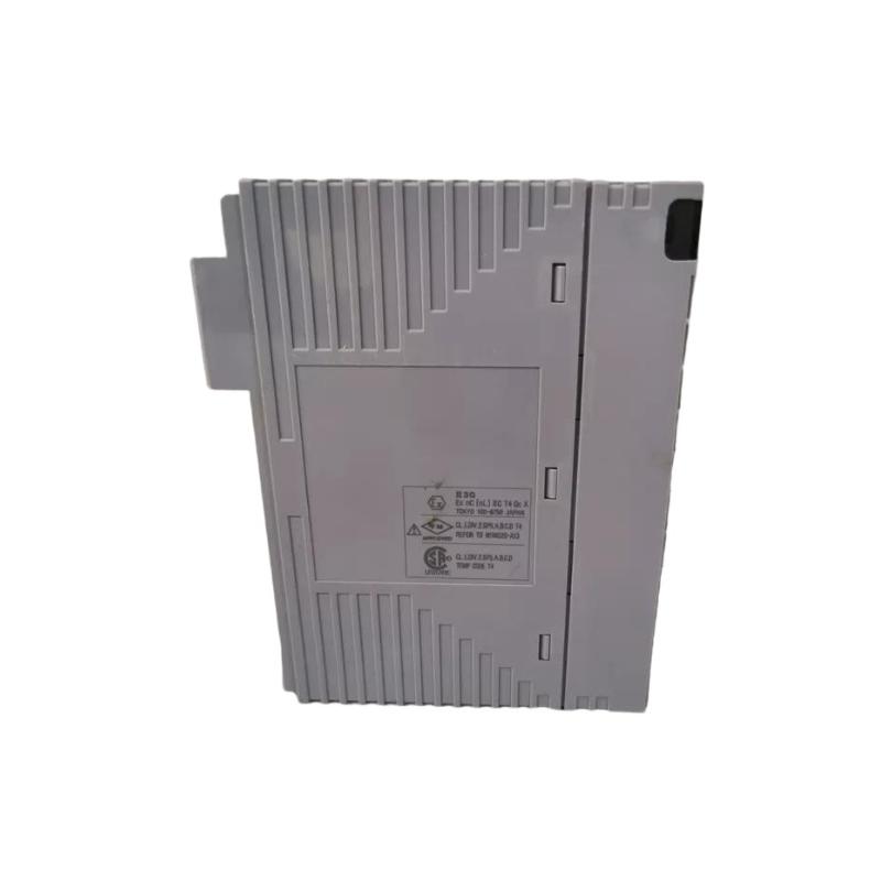 Yokogawa AAI543-H10 Analog output module