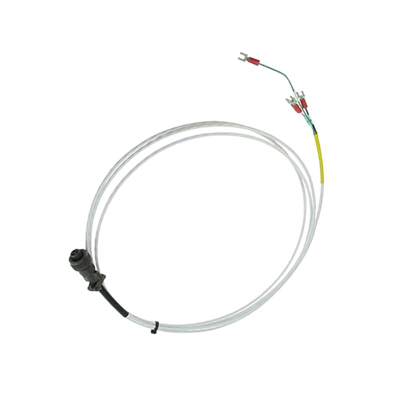 Bently Nevada 16925-10	Interconnecting Cable