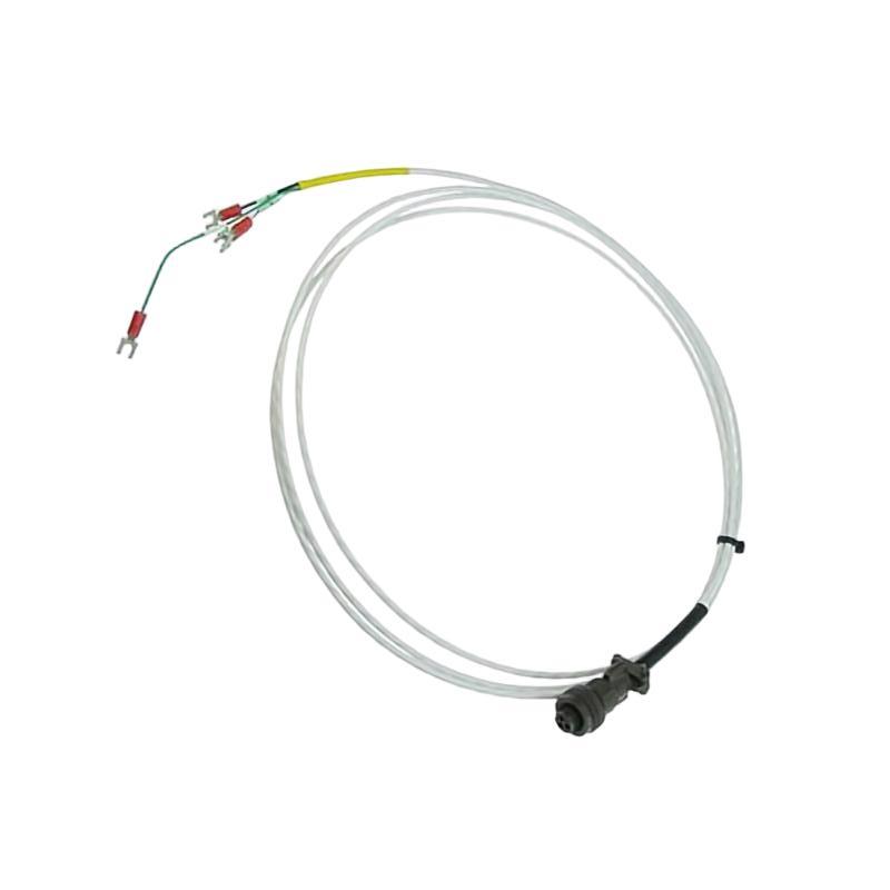Bently Nevada 16925-10	Interconnecting Cable