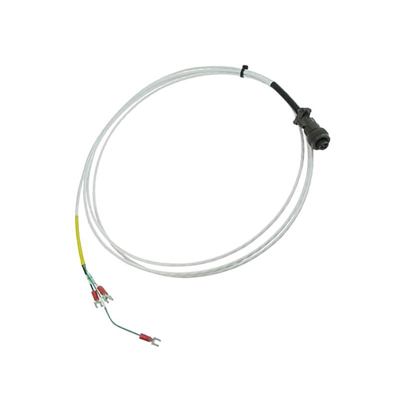 Bently Nevada 16925-10	Interconnecting Cable