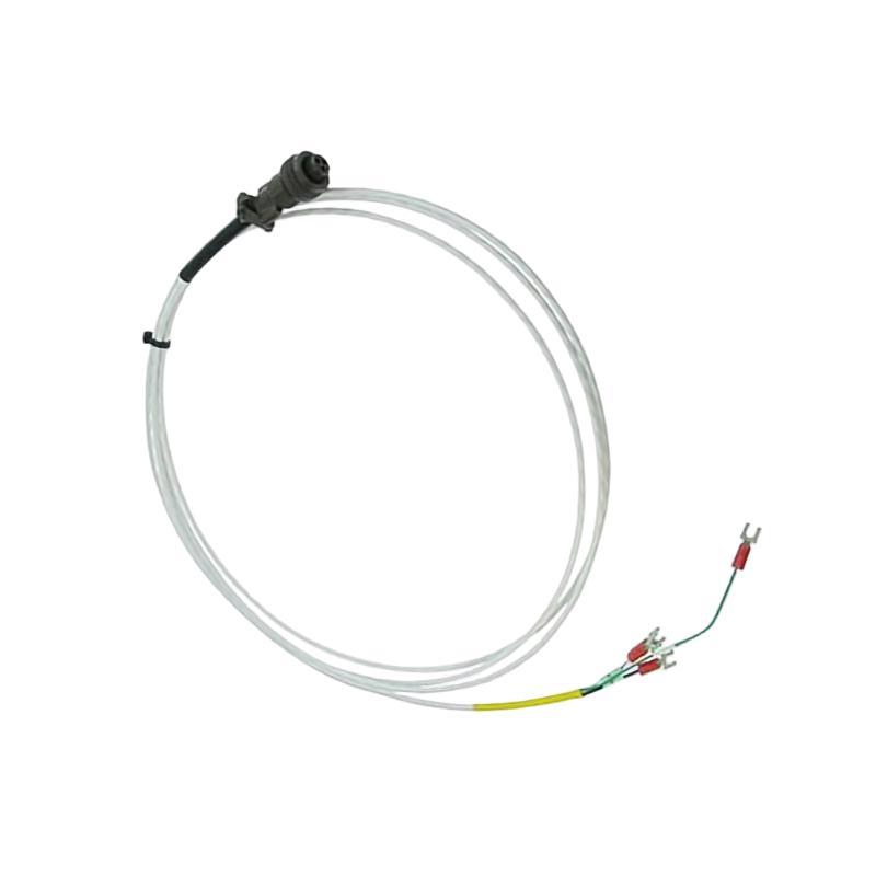 Bently Nevada 16925-10	Interconnecting Cable