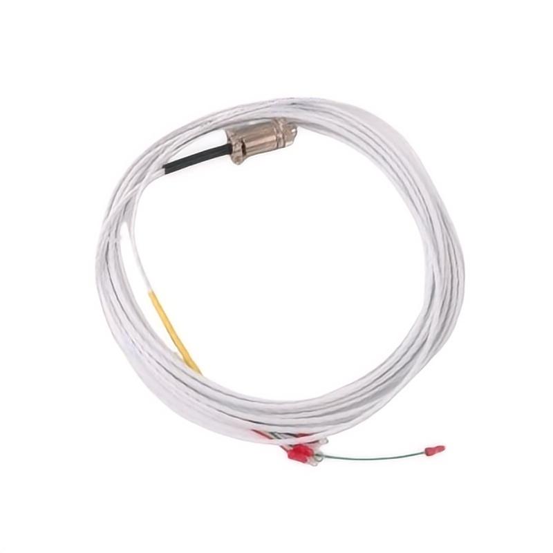 Bently Nevada 16925-12	Interconnecting Cable