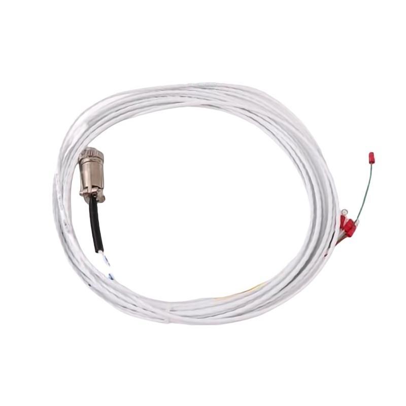 Bently Nevada 16925-12	Interconnecting Cable