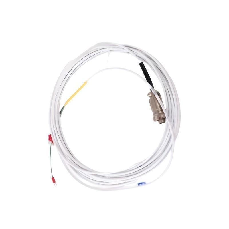 Bently Nevada 16925-17	Interconnecting Cable
