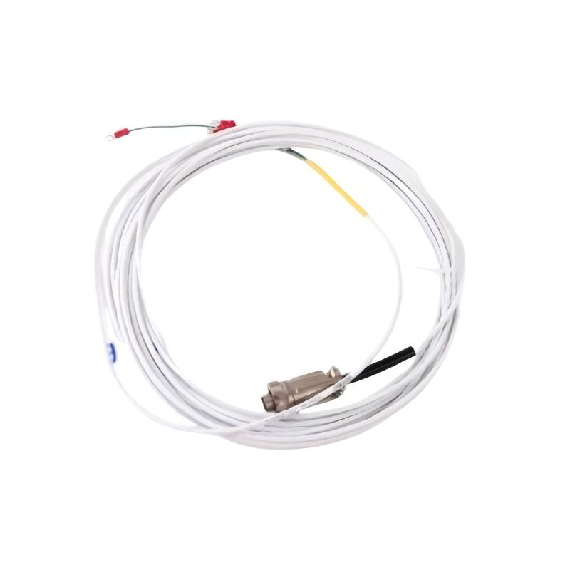 Bently Nevada 16925-17	Interconnecting Cable