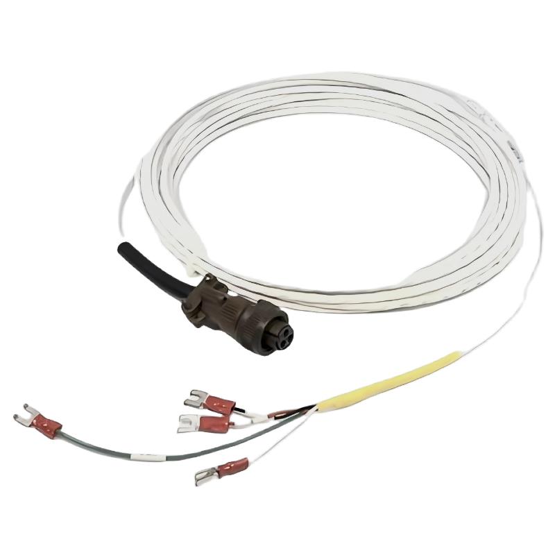 Bently Nevada 16925-21	Interconnecting Cable