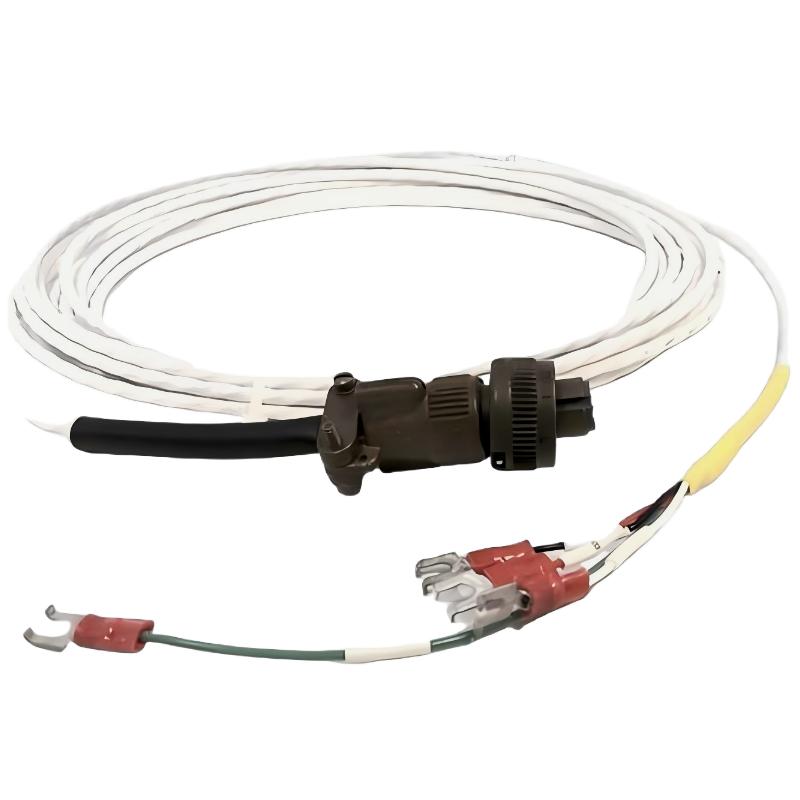 Bently Nevada 16925-21	Interconnecting Cable