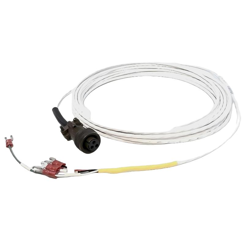 Bently Nevada 16925-21	Interconnecting Cable