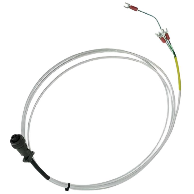 Bently Nevada 16925-50	Interconnecting Cable