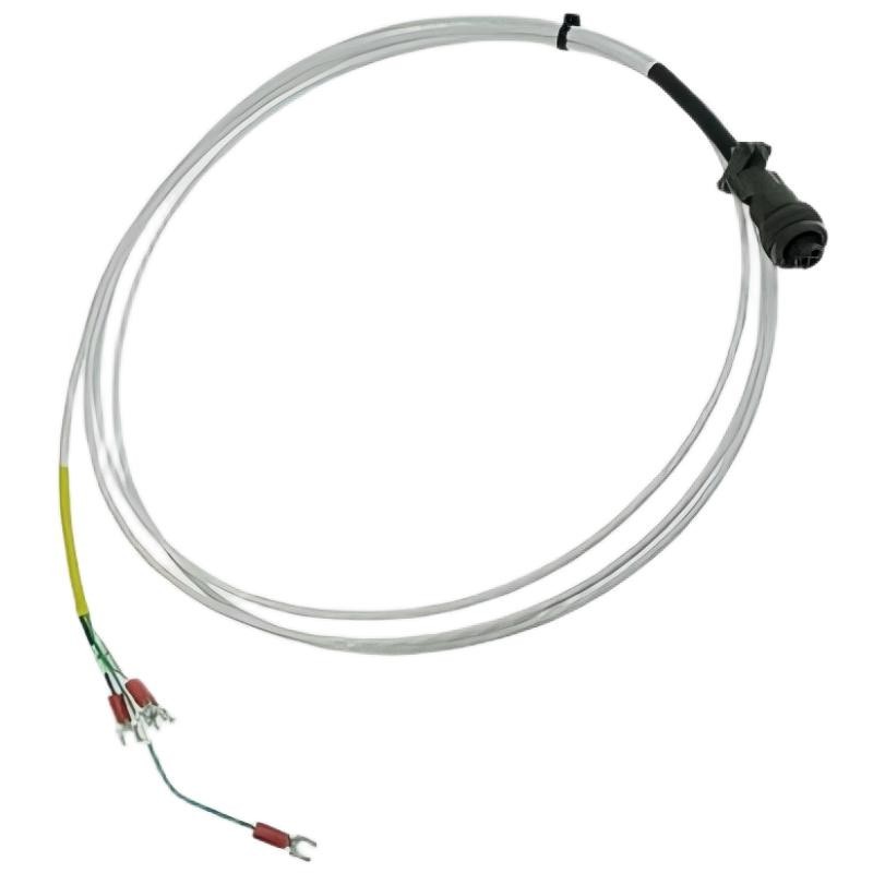 Bently Nevada 16925-50	Interconnecting Cable