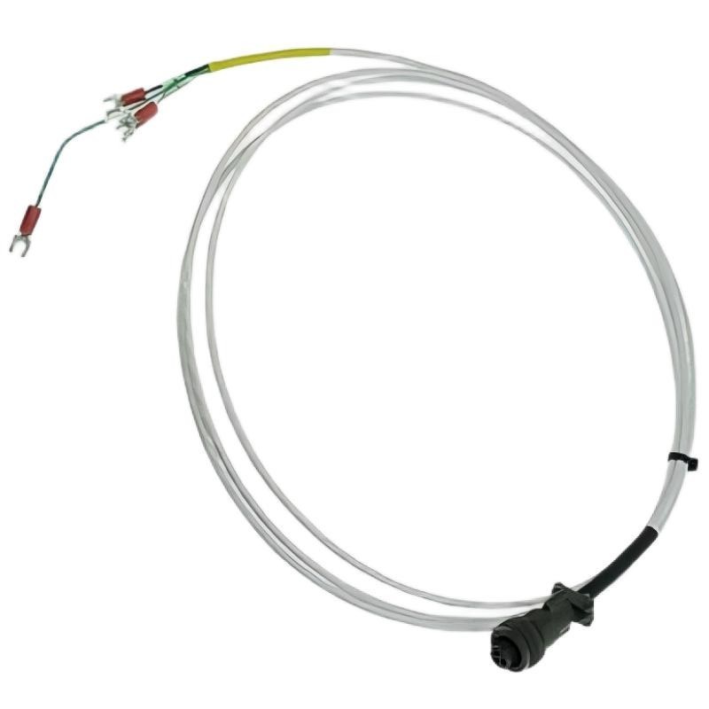 Bently Nevada 16925-50	Interconnecting Cable