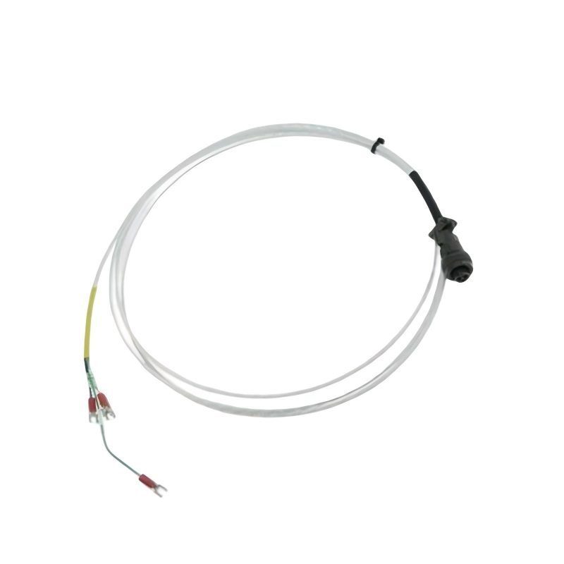 Bently Nevada 16925-99	Interconnecting Cable