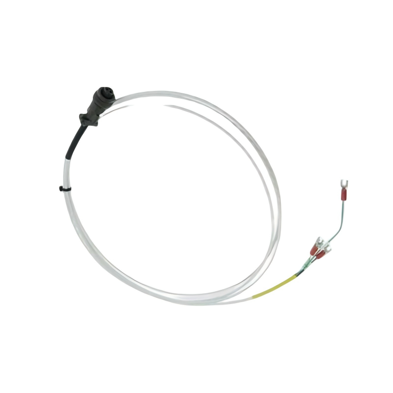 Bently Nevada 16925-99	Interconnecting Cable