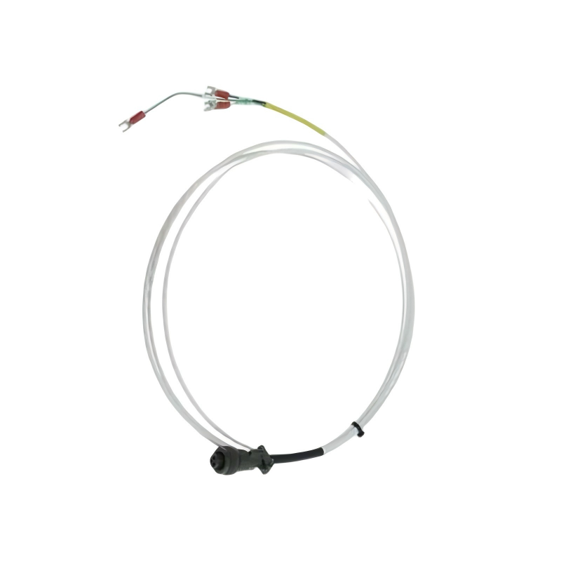 Bently Nevada 16925-99	Interconnecting Cable
