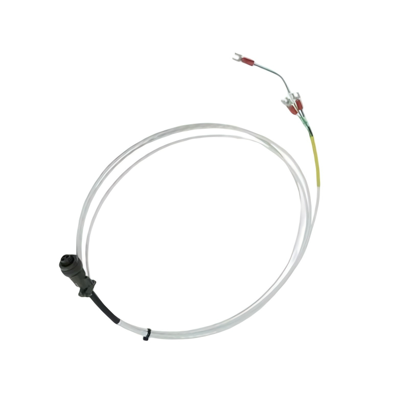 Bently Nevada 16925-99	Interconnecting Cable