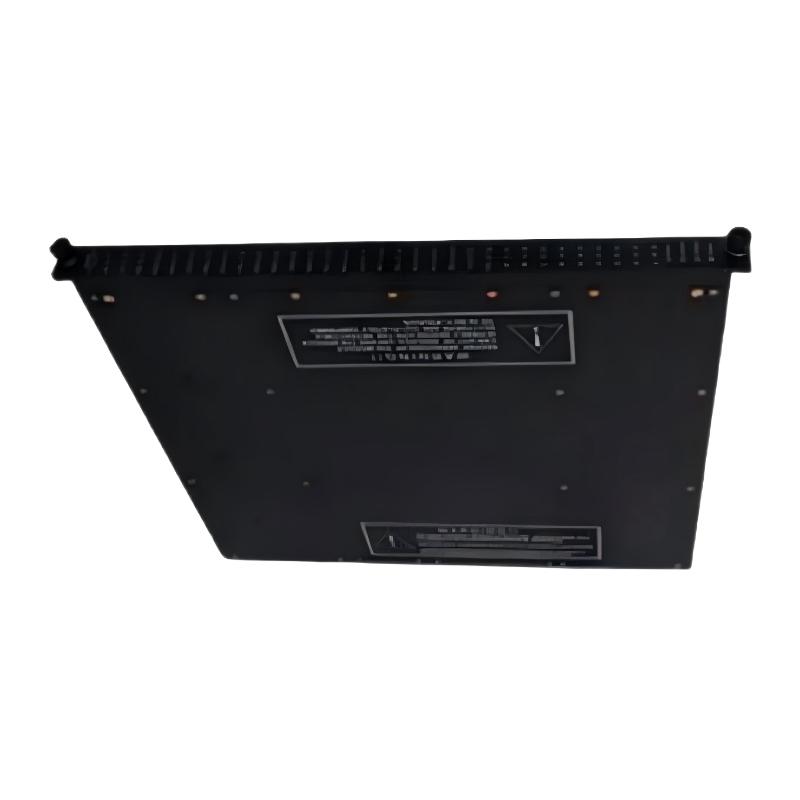 Triconex 3000142-220 Power Module