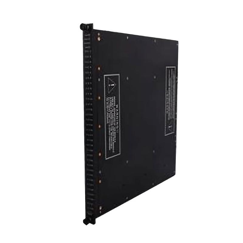 Triconex 3000604-100 Numeric Input Module