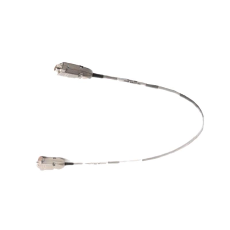 Triconex 4000212-002 Extended Bus Assembly Kit