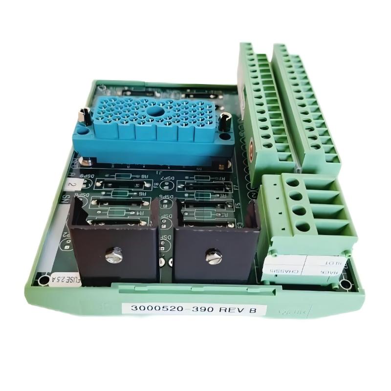Triconex 9562 3000520-390 Terminal Panel Module