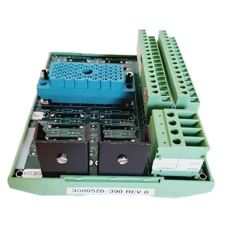 Triconex 9662-610NJ 7400166-390 Panel Field Termination Option Module