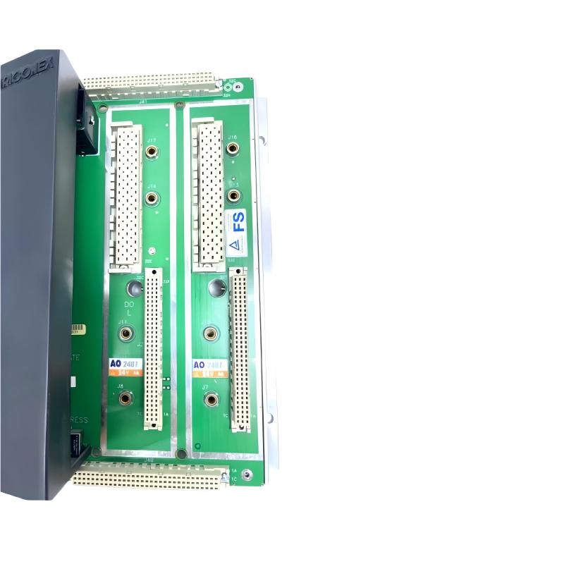 Triconex AO 2481 7400209-010 Analog Input Baseboard
