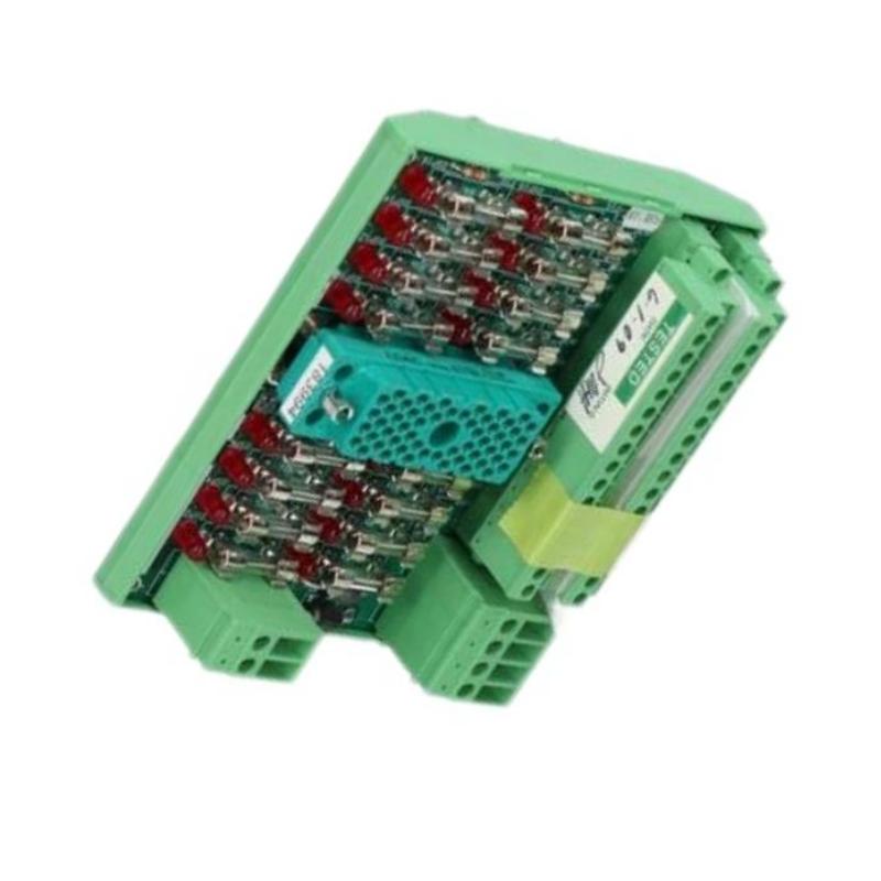 Triconex 9563-810NJ Digital Input Terminal Panel