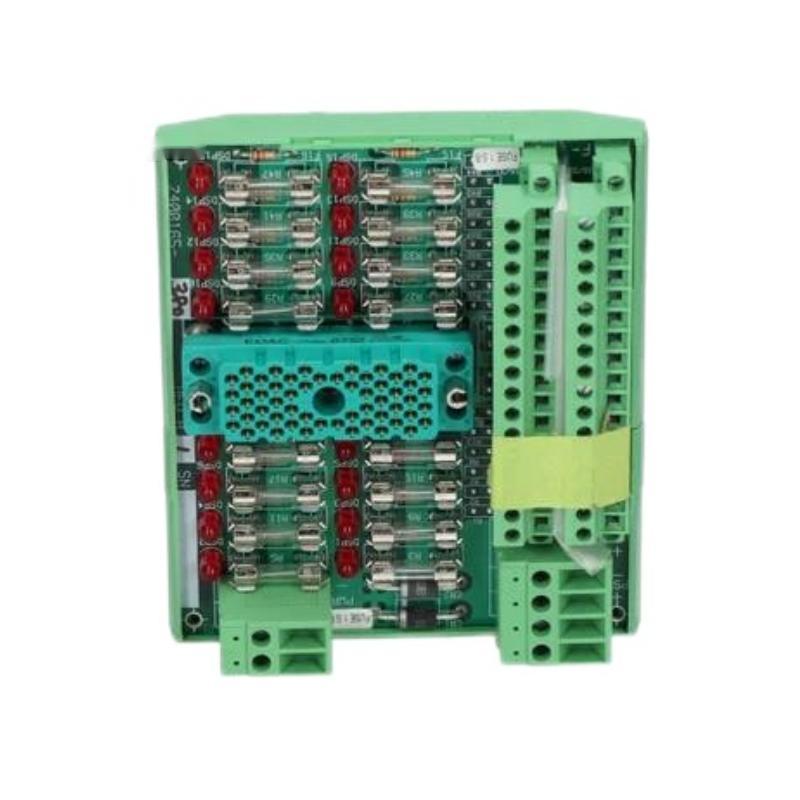 Triconex 9563-810NJ Digital Input Terminal Panel