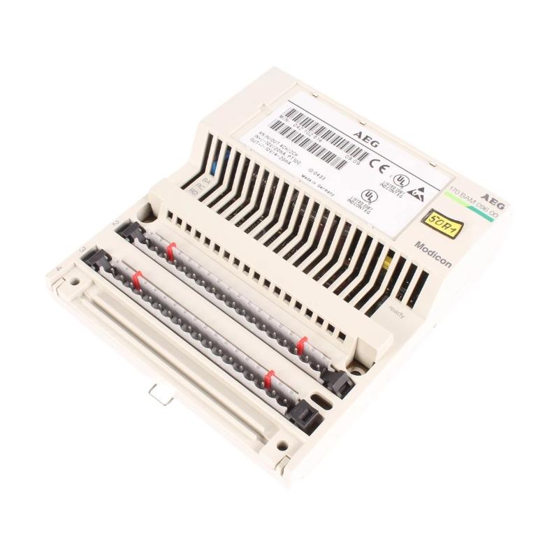 Schneider 170BAM09600 Analog I/O Module