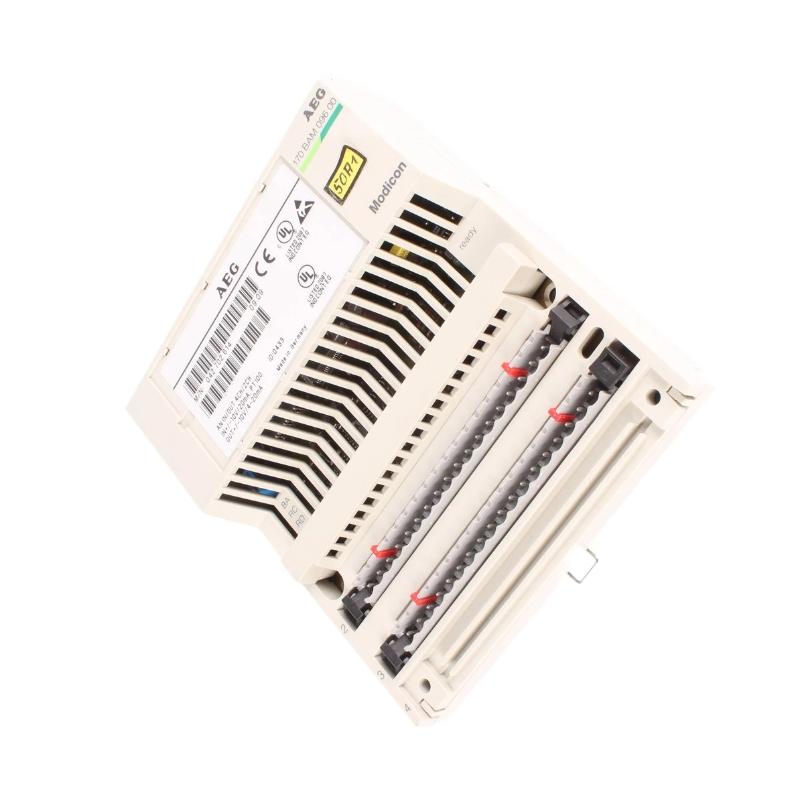 Schneider 170BAM09600 Analog I/O Module