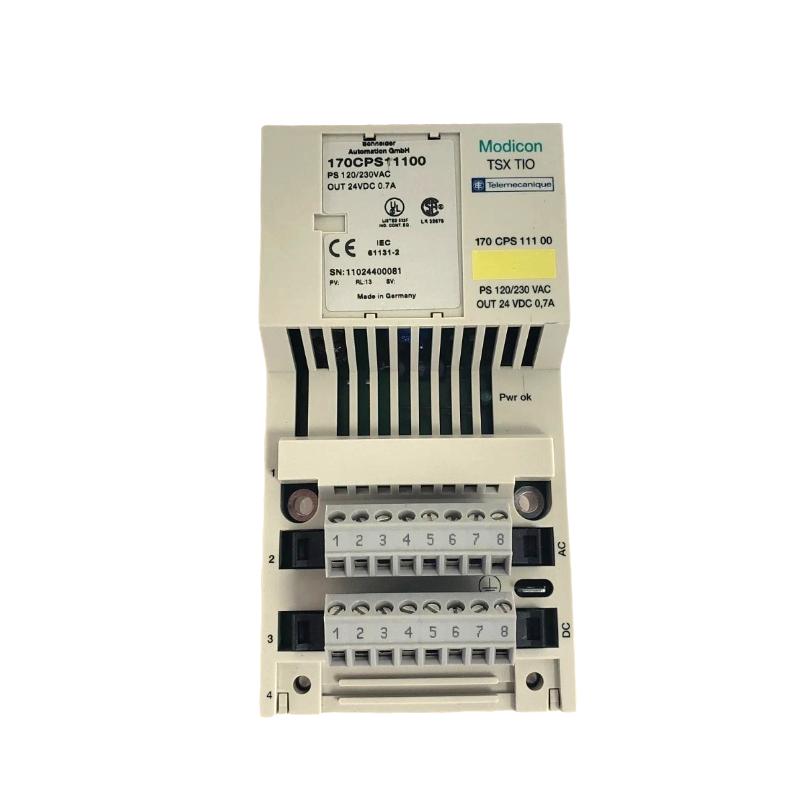 Schneider 170CPS11100	M1 Processor Adapter Power Supply