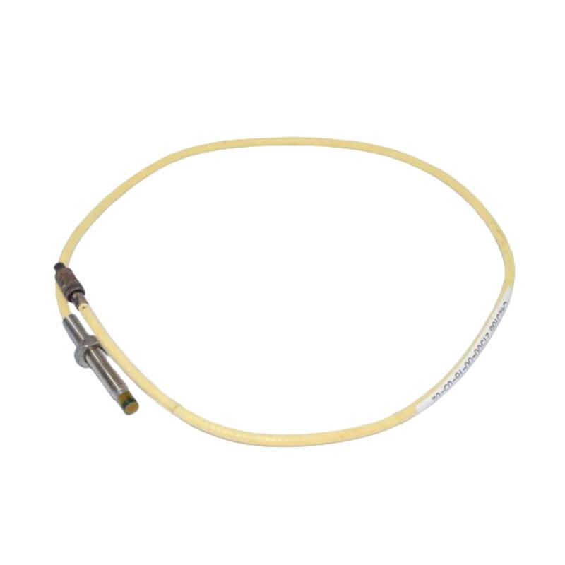 Bently Nevada 21500-00-12-05-02 7200 5 mm Probe