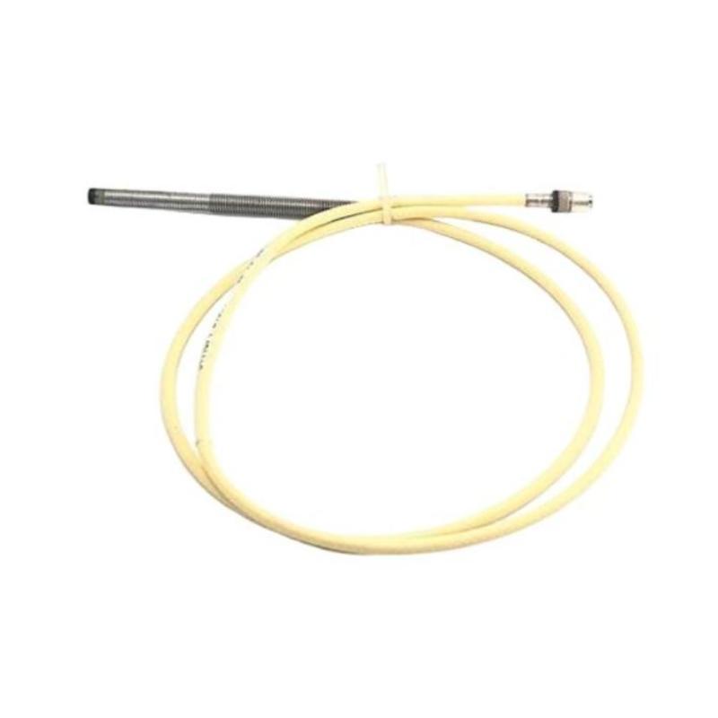 Bently Nevada 21500-00-12-10-02 7200 5 mm Probe