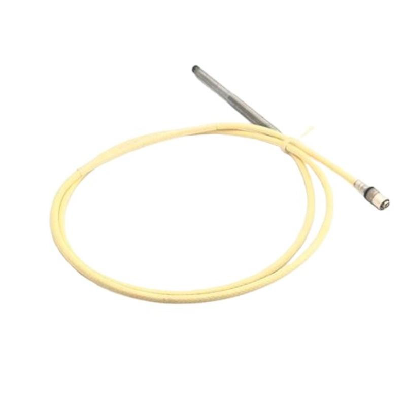 Bently Nevada 21500-00-12-10-02 7200 5 mm Probe