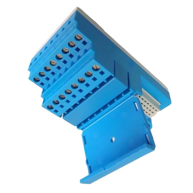 GE 8621-FT-IS	Field Terminal